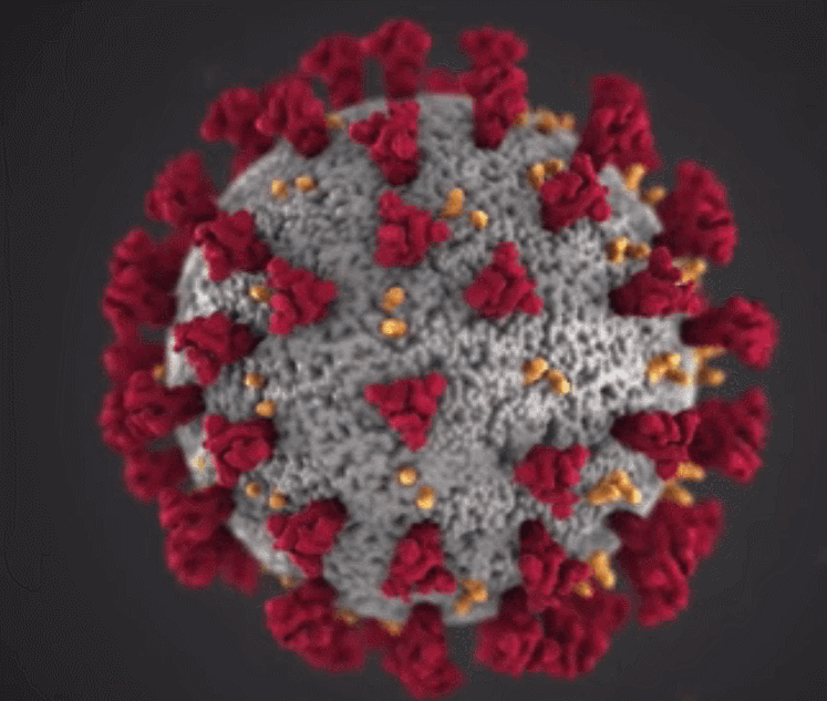 ¿La pandemia del nuevo coronavirus disminuirá en verano?