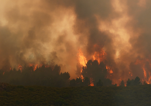Las lluvias pueden aumentar el riesgo de incendios forestales meses despu&eacute;s: la paradoja que explica la ciencia
