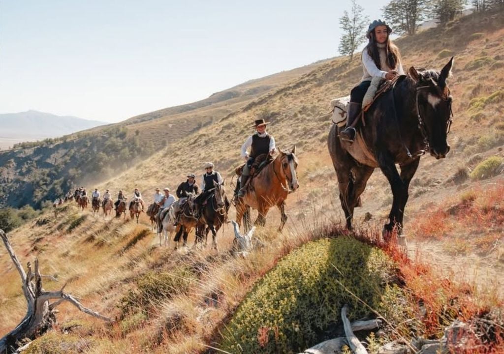 Foto: Tomás León para Asociación Criadores de Caballos Criollos Foto: Tomás León para Asociación Criadores de Caballos Criollos