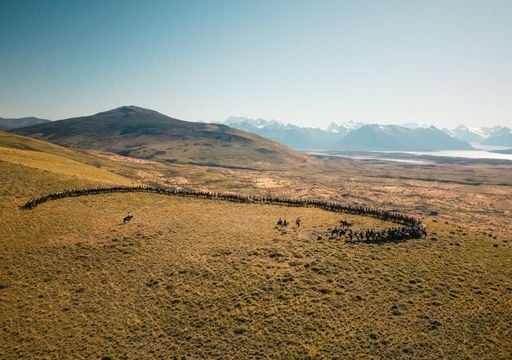 La Patagonia a caballo: cultura, tradici&oacute;n y turismo en la marcha multitudinaria que fue furor en Instagram