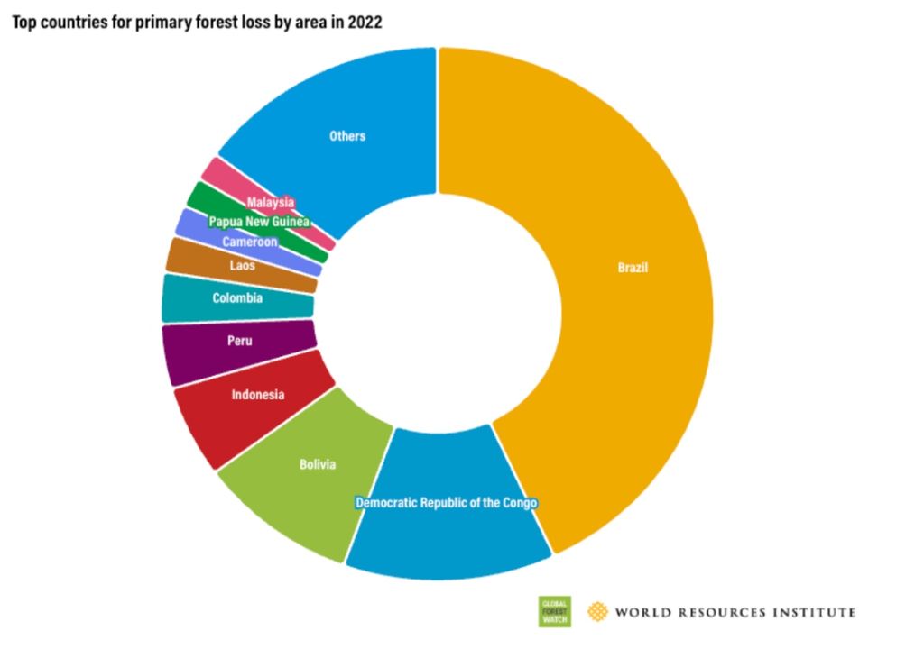 Paises perdida de bosques