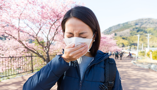 La pesadilla del polen en Jap&oacute;n: el error hist&oacute;rico de los a&ntilde;os 50 que ha condenado al pa&iacute;s a una epidemia de alergias