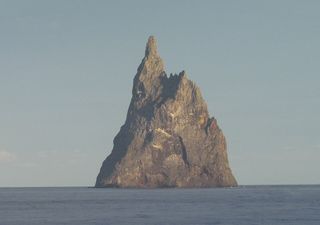La Pirámide de Ball, un islote que es hogar de un insecto gigante que se creía extinto