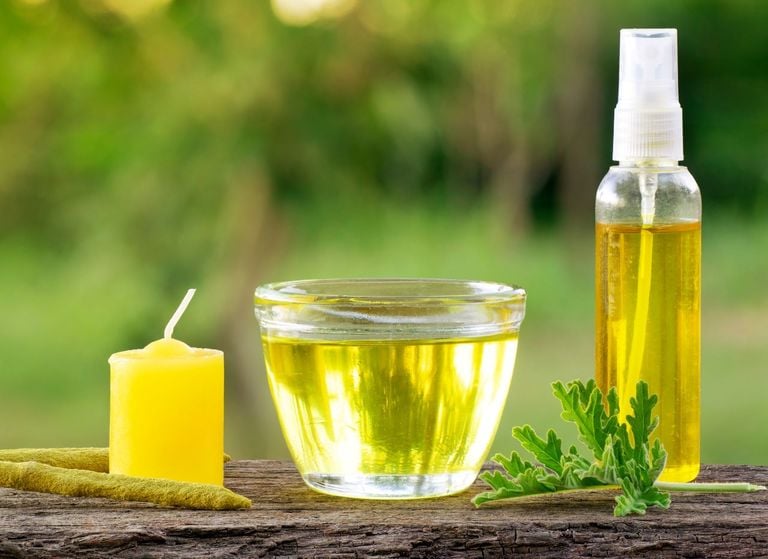 La planta aromática que ahuyenta insectos y crece sin parar en terrazas