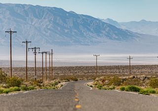La planta del Valle de la Muerte que vence al calor y ofrece la clave para adaptar los cultivos al cambio climático 