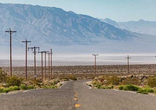 La planta del Valle de la Muerte que vence al calor y ofrece la clave para adaptar los cultivos al cambio climático