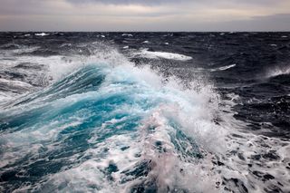 La plataforma Oceans+