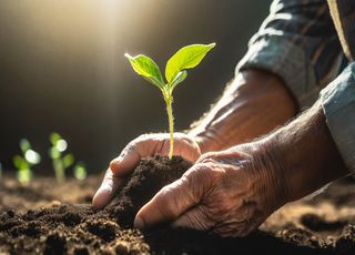 La pluie revient en France : les tâches restent nombreuses au jardin ! Découvrez-en quelques unes