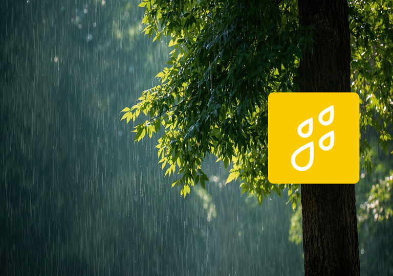 La pluie voire les orages reviennent en France ! Des vacances scolaires avec une m&eacute;t&eacute;o pluvieuse et froide ?