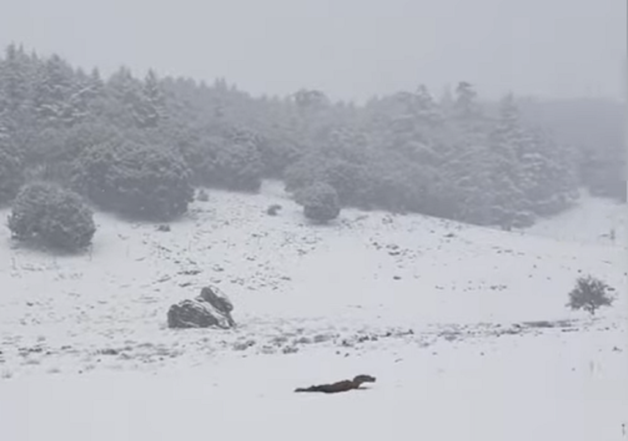 Nubes de polvo sahariano en España, nieve en Marruecos: vídeo