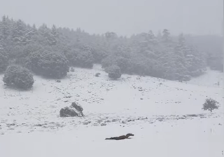 La polvere sahariana offusca la Spagna, neve in Marocco: video