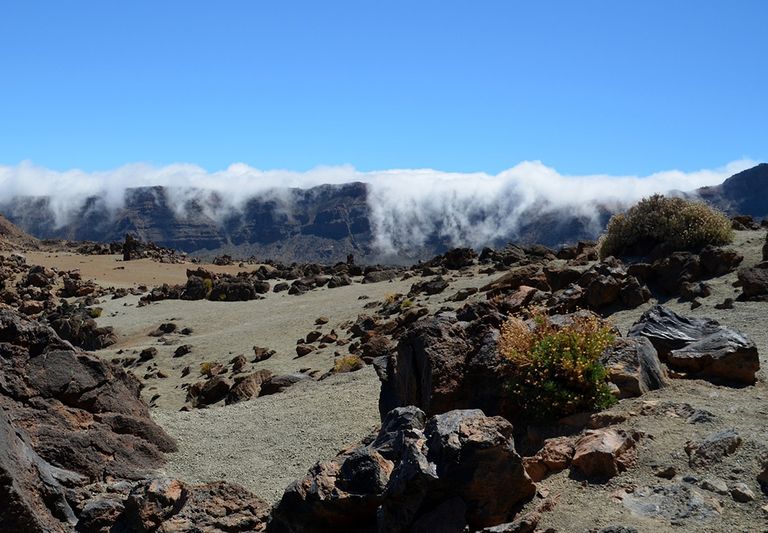 Tenerife niebla Tenerife niebla
