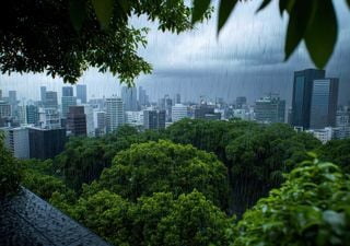 La previsión de Meteored para septiembre con Fase Neutra: "abundantes lluvias por ciclones tropicales y frentes fríos"