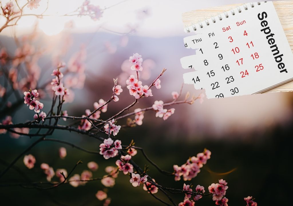 calendario mes de septiembre y cerezo en flor