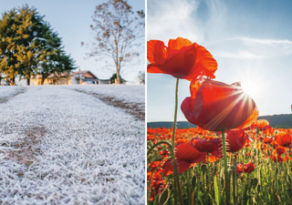 La primavera comenzará más seca de lo normal y con gran amplitud térmica en el centro y sur del país, según la DMC