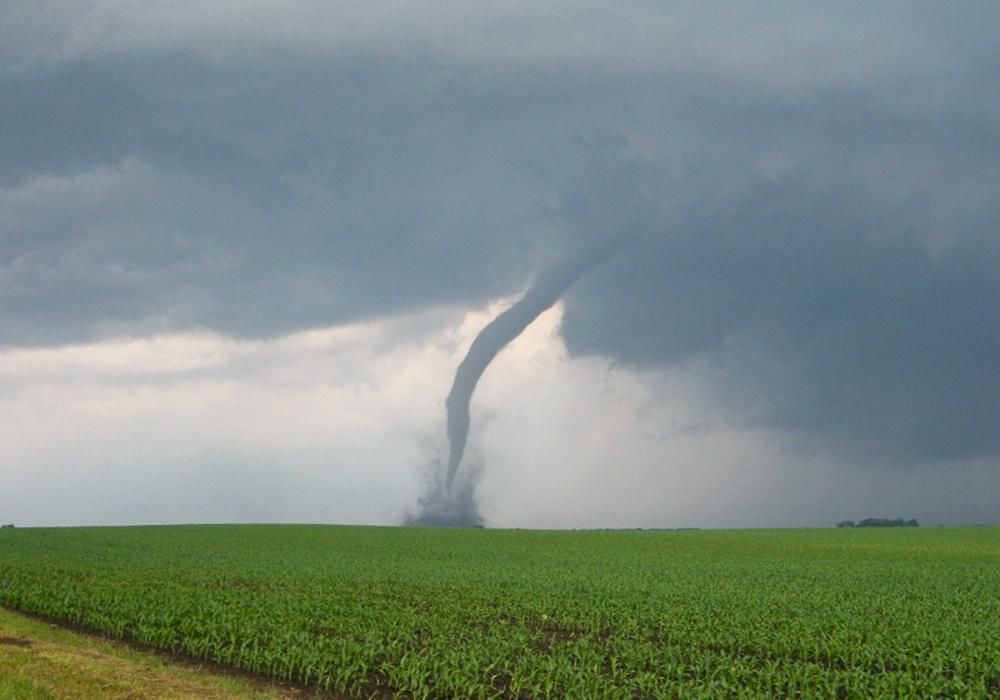 De media 100 personas pierden la vida anualmente por las consecuencias de los tornados. Imagen de National Severe Storms Laboratory