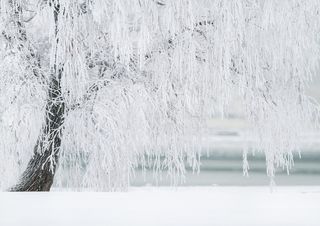 La primavera può attendere!