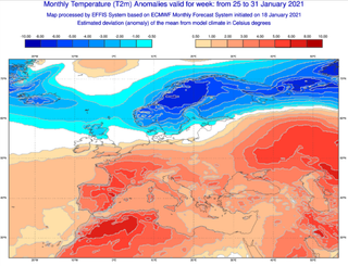 La primavera se asoma para este final de mes de un enero frenético