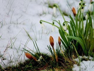 La primavera si traveste d'inverno con freddo e maltempo