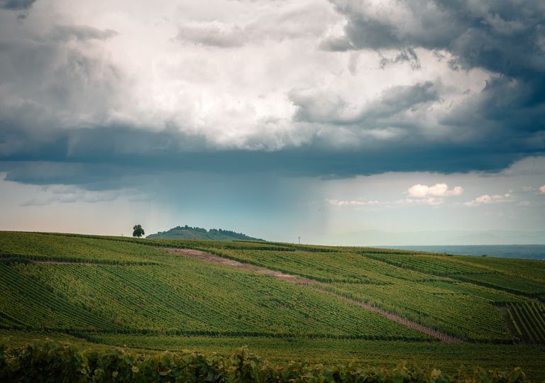 Lluvia, Anomalía, Reservas, Humedad Lluvia, Anomalía, Reservas, Humedad