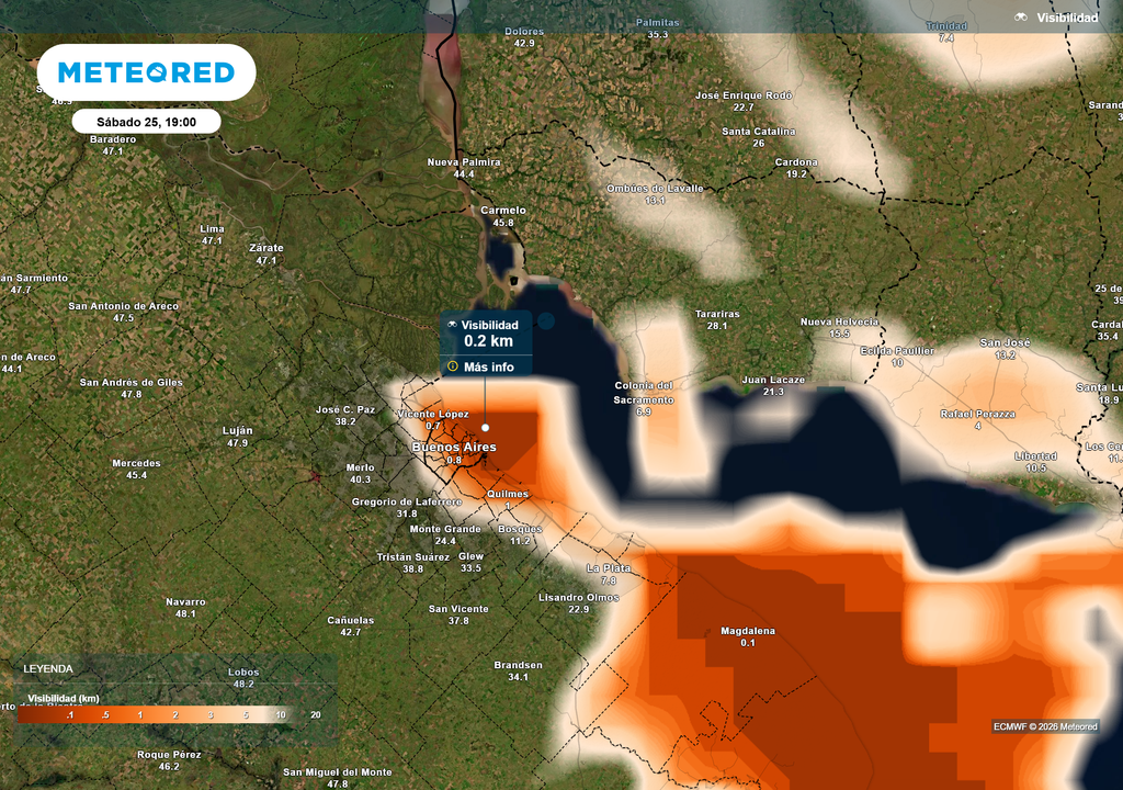 Visibilidad__Sábado 25 19 Visibilidad según el modelo ECMWF el sábado 25 de Julio a las 19 h en Buenos Aires.