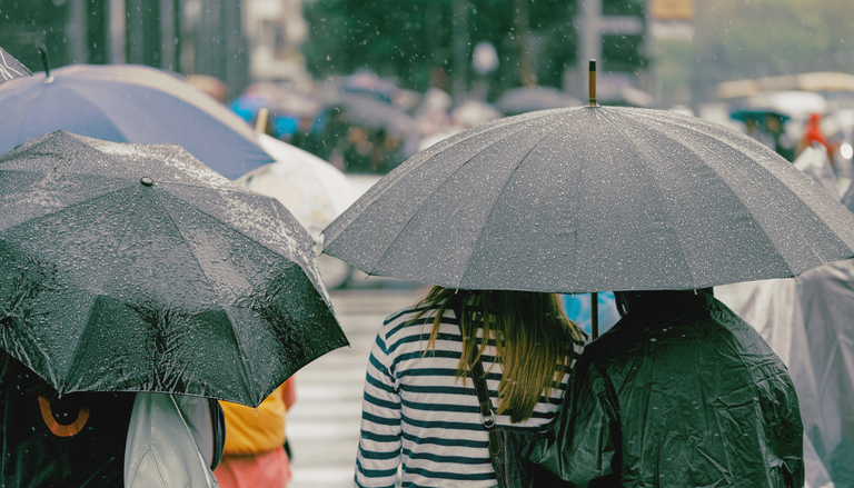"La pr&oacute;xima semana tambi&eacute;n ser&aacute; lluviosa": las precipitaciones seguir&aacute;n llegando al centro-sur de Chile