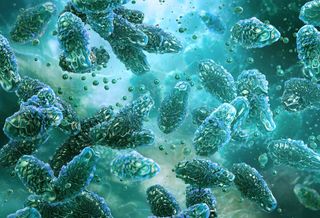 La radiazione che uccide sulla Terra potrebbe alimentare la vita su altri pianeti, suggerisce un nuovo studio