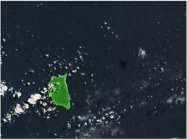 La Remota Isla Henderson Y Plásticos