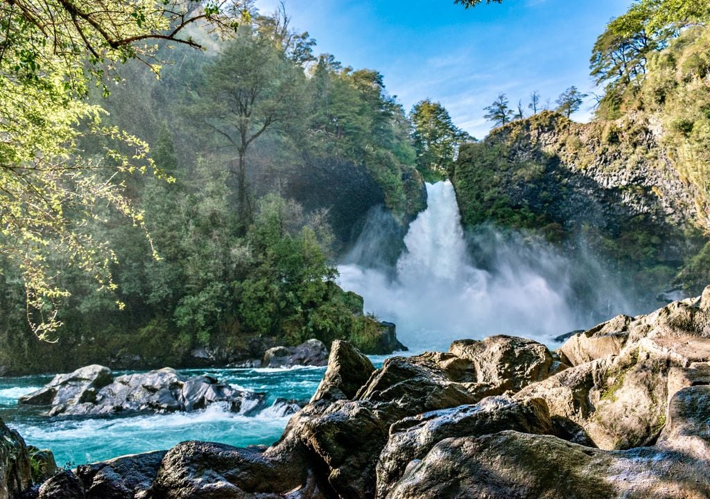 Reserva Biológica Huilo Huilo, Región de Los Ríos. Reserva Biológica Huilo Huilo, Región de Los Ríos.