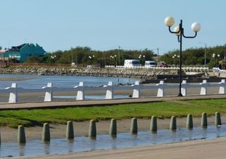 La reserva de la UNESCO en Buenos Aires con playas, laguna y naturaleza &uacute;nica: c&oacute;mo llegar y experiencias imperdibles