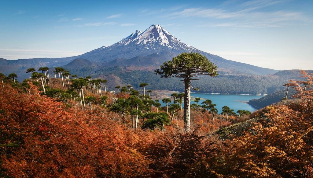 Volcán Llaima, Parque Nacional Conguillío. Vistas del volcán Llaima en el Parque Nacional Conguillío.