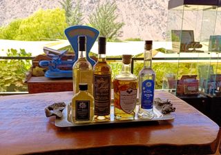 La Ruta del Pisco del Valle del Elqui: conoce las mejores destilerías artesanales de la región