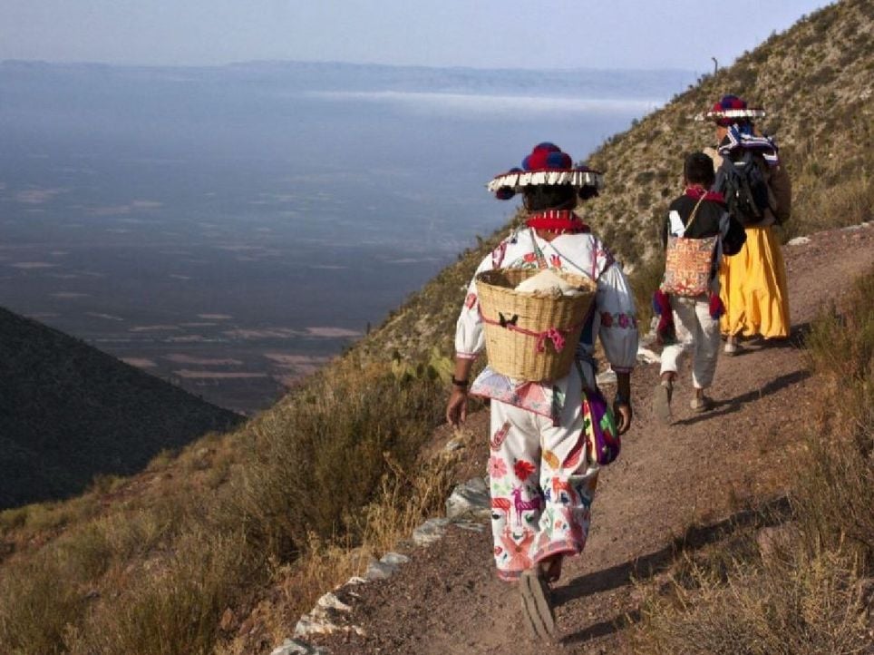 La Ruta Wixárika ya es patrimonio Mundial de la UNESCO: un viaje sagrado por la cultura indígena viva de México. Noticias en tiempo real