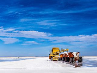 Guerrero Negro: This is the largest salt mine in the world