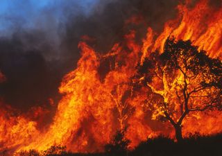 La Sardegna brucia, dozzine di incendi alimentati dal maestrale