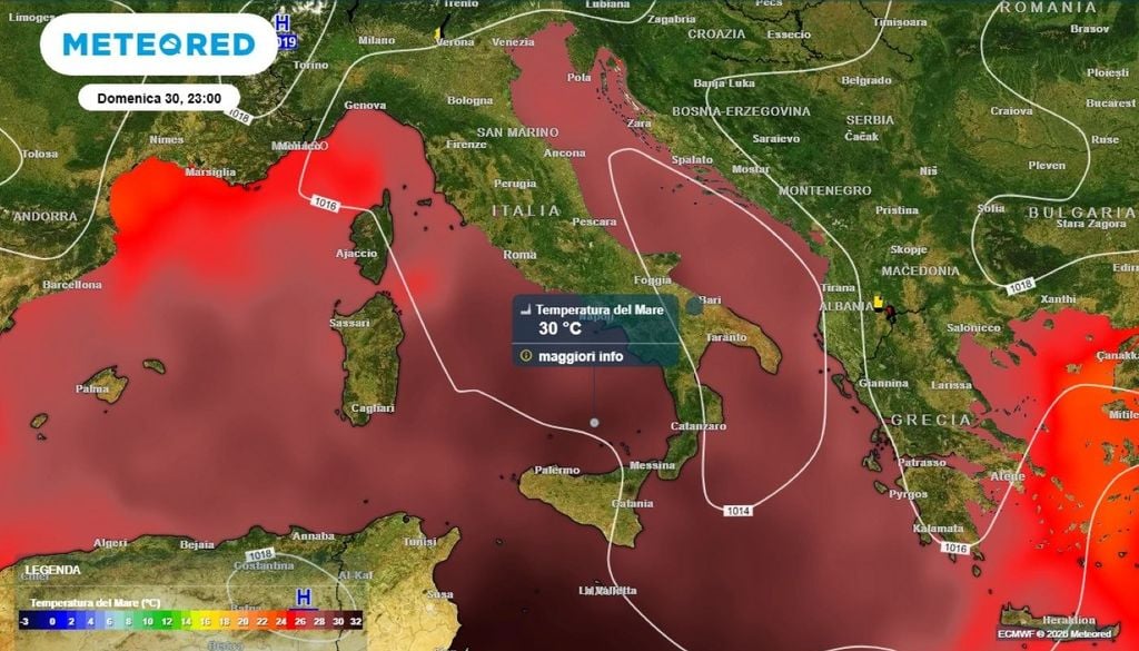 Il grosso problema sta nel fatto che il calore non si ferma alla superficie. Studi e monitoraggi mostrano che le anomalie termiche penetrano nella colonna d’acqua, spesso fino a 40 metri di profondità.