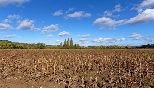 La s&eacute;cheresse s'aggrave en France et menace les cultures