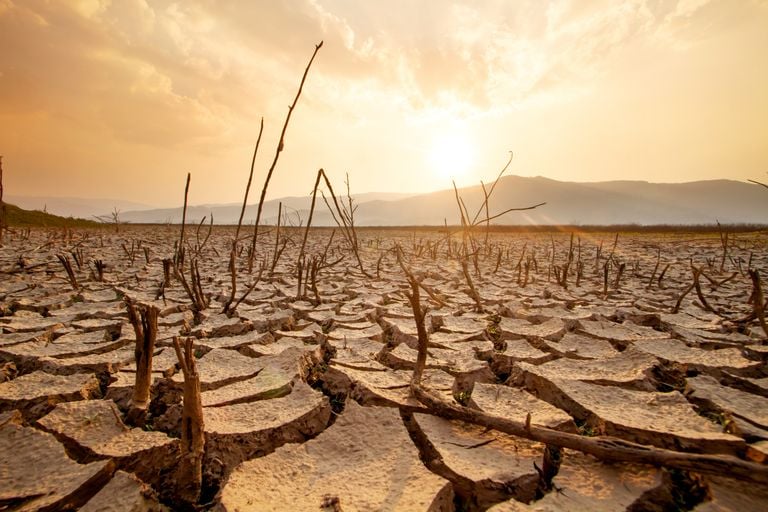 La “sed” de la atmósfera: un factor clave en la expansión de las sequías
