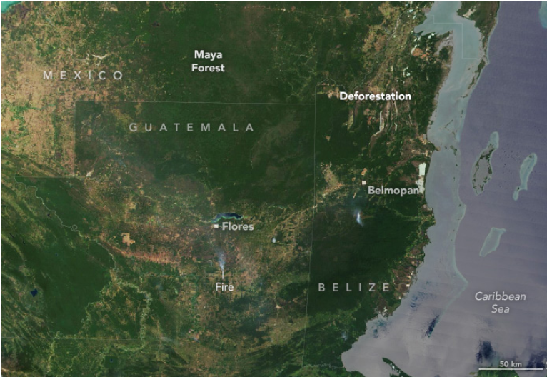 Imagen de la zona analizada a fecha del 11 de febrero de 2024 tomada por el sensor MODIS. NASA