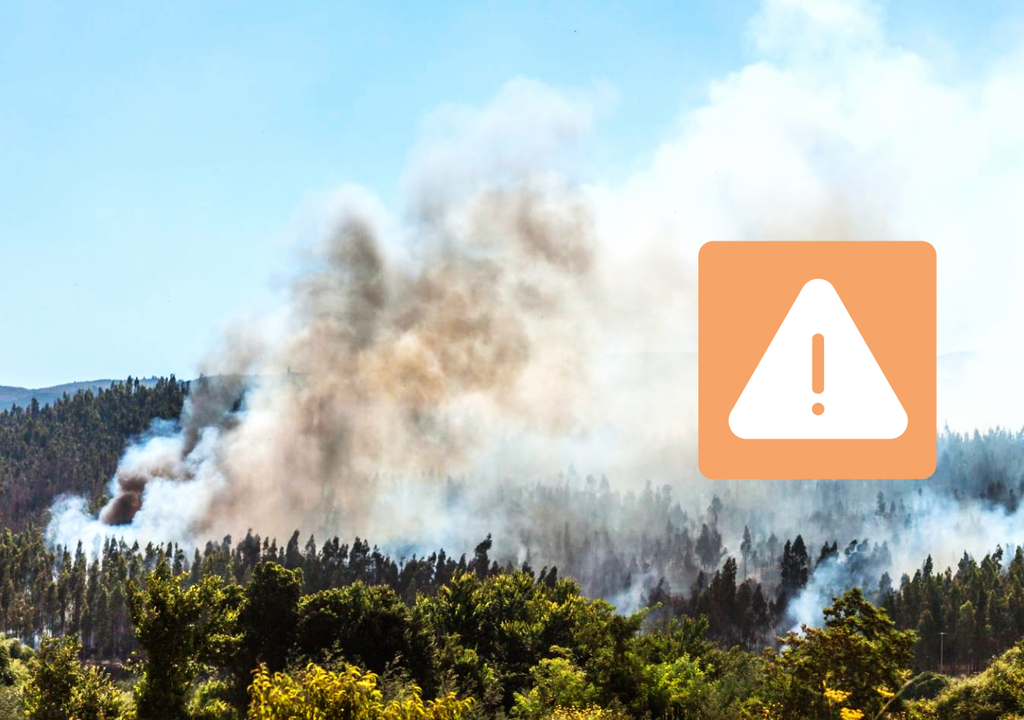 incendio forestal y símbolo de advertencia naranjo