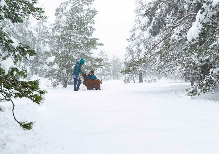 Esta será la semana más lluviosa del año en España, y volverá la nieve Esta será la semana más lluviosa del año en España, y volverá la nieve