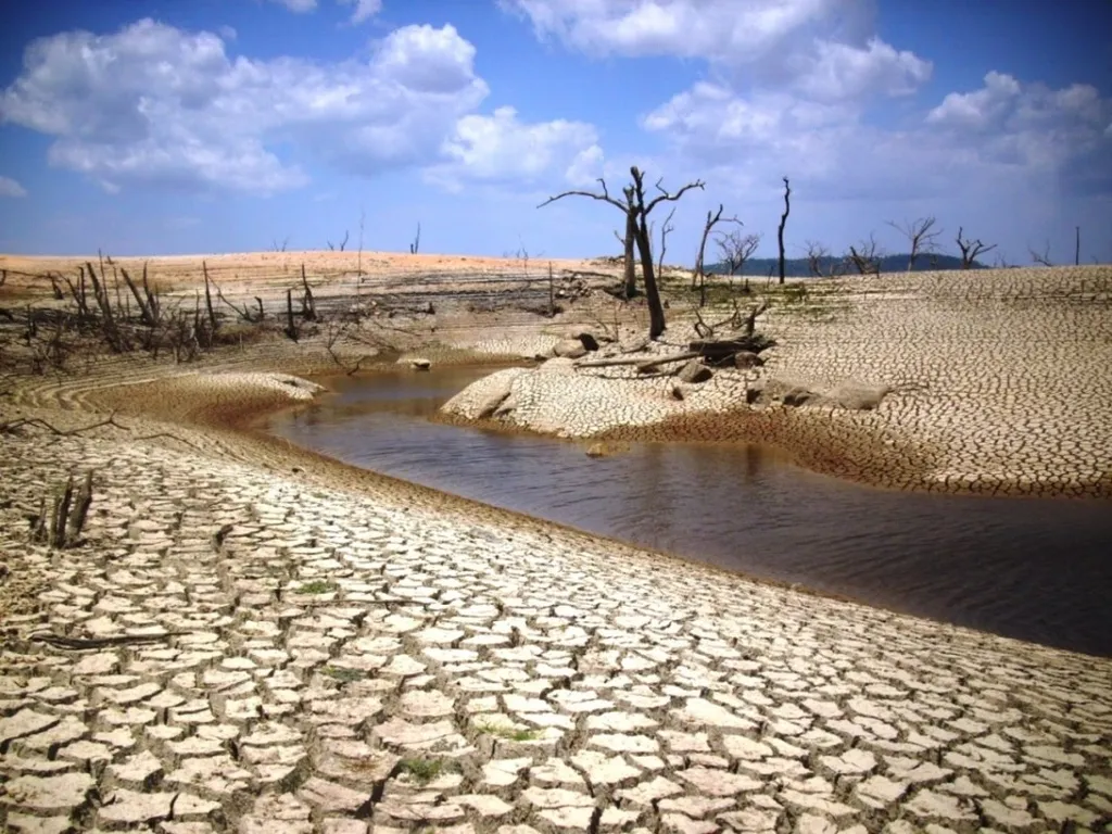 La Sequía: Acciones A Tomar