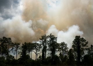 La sequía agrava los incendios