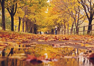 La sequía disminuye, mientras las lluvias continúan