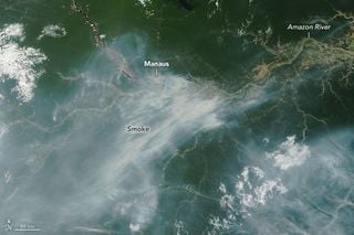 La sequía en la Amazonía y El Niño alimentan los incendios forestales