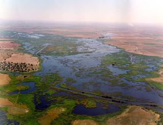 La sequía oculta de Daimiel