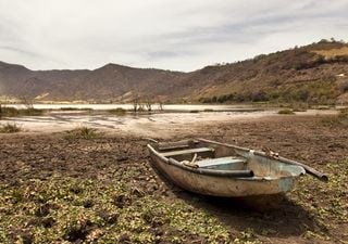 La sequía que no nos abandona: proyección climática para mayo 2020