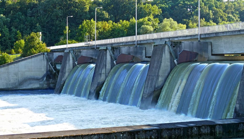 Entre las soluciones propuestas destacan la eliminación de barreras en los ríos, la mejora de la calidad del agua y la protección de las zonas de cría