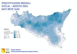 La siccità in Sicilia: arrivano le piogge ma non ovunque e ormai troppo tardi. Non finisce la conta dei danni.