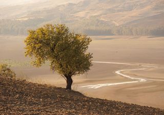 La siccità si aggrava in Sicilia, molti invasi rischiano di prosciugarsi: l’arrivo de La Niña avrà un impatto positivo?